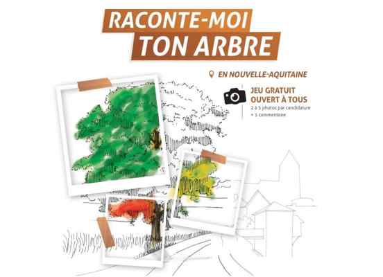 Les lauréats du Prix construction bois Nouvelle-Aquitaine dévoilés !
